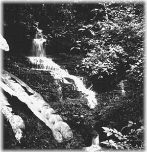 Esparroyacu Falls